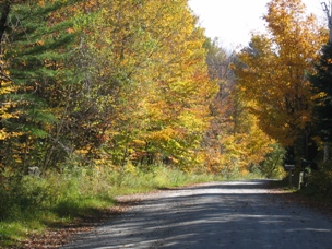 Country road